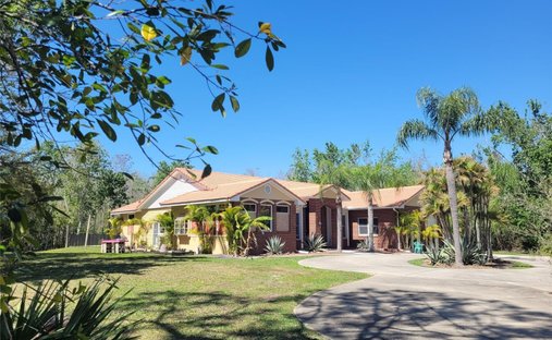 House in Kissimmee, Florida, United States 1