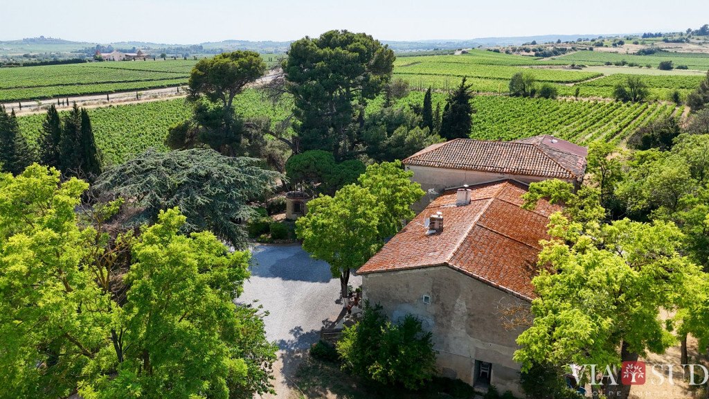 Estate in Puisserguier, Occitania, France 2 - 16245688
