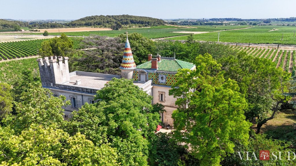 Estate in Puisserguier, Occitania, France 1 - 16245688