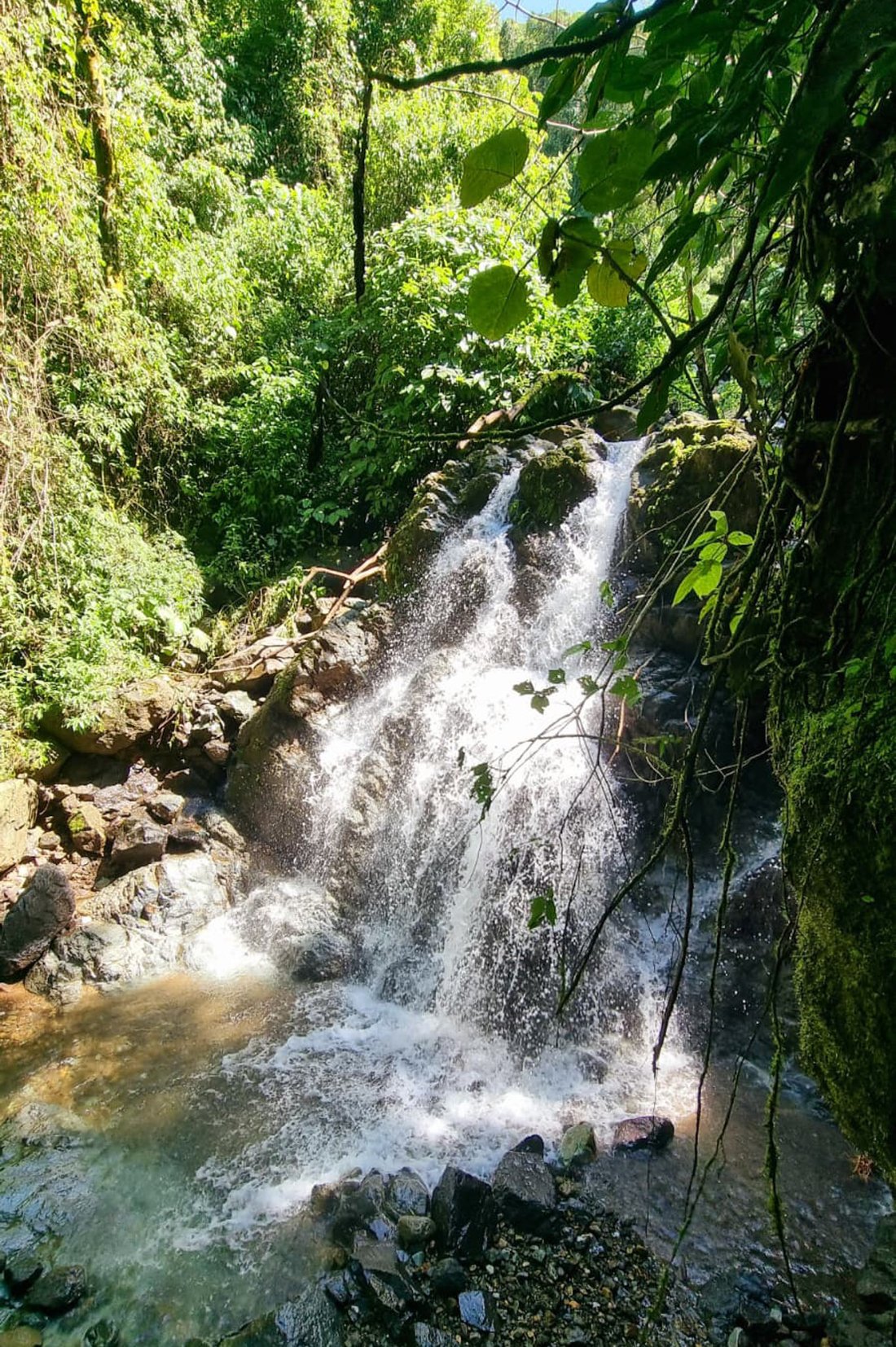 Land in San Ramon, Guanacaste Province, Costa Rica 5 - 17842380