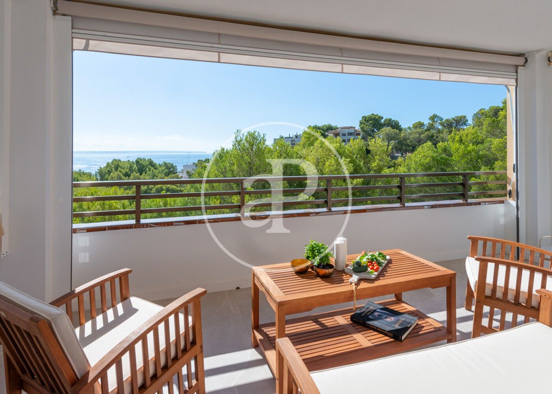 Apartment in Cas Catala, Calvia, Balearic Islands 2 - 17842140