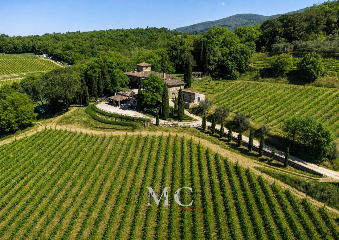 Estate in Center, Greve in Chianti, Tuscany 2 - 16153873