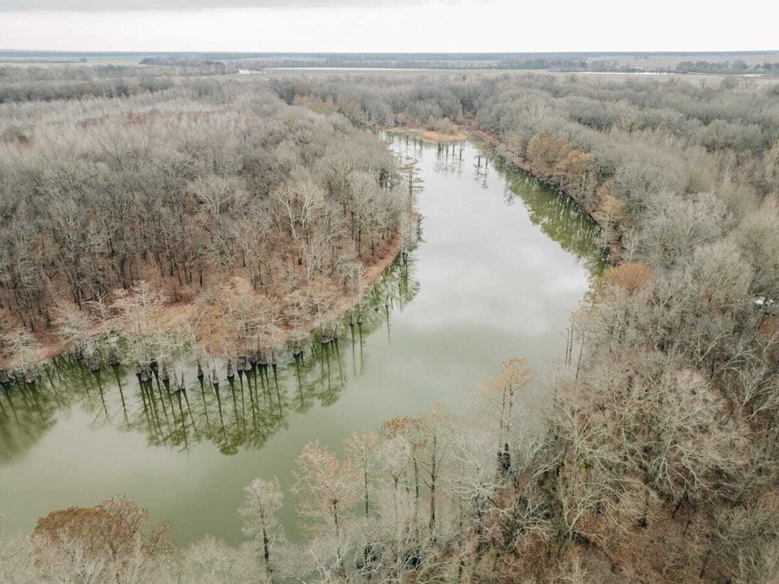 Land in Glendora, Mississippi, United States 2 - 17842807