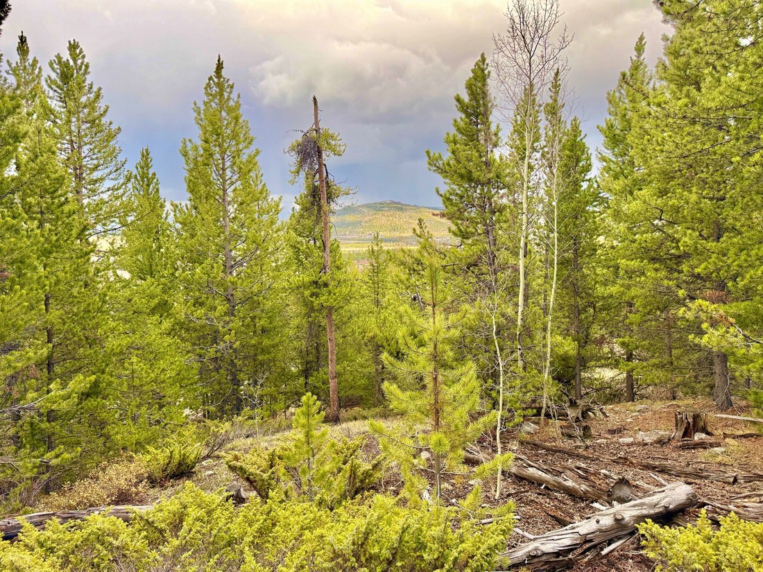 Land in Frisco, Colorado, United States 4 - 17842901