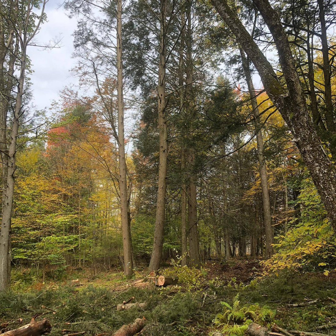 Land in Swan Lake, New York, United States 4 - 17842781