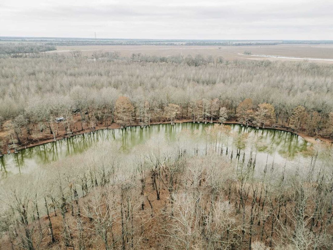 Land in Glendora, Mississippi, United States 5 - 17842807