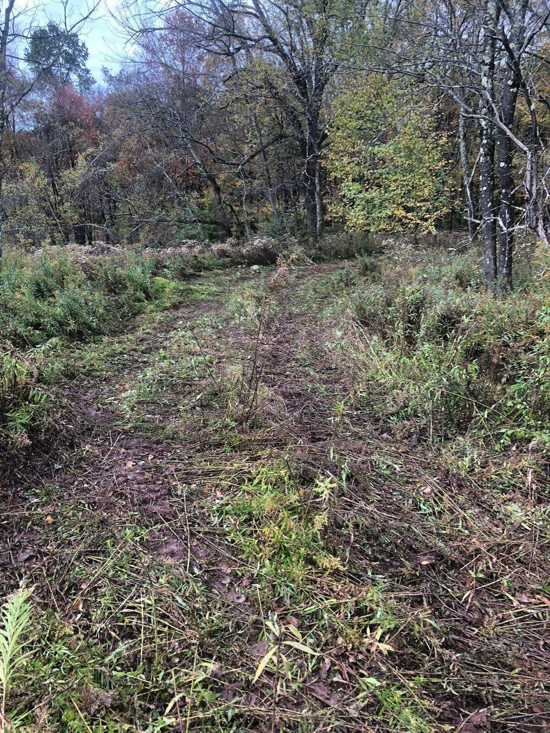 Land in Swan Lake, New York, United States 3 - 17842781
