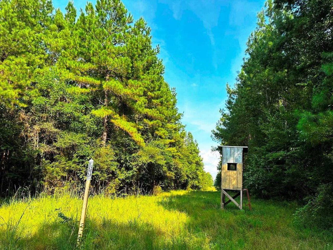 Land in Wiggins, Mississippi, United States 5 - 17842804