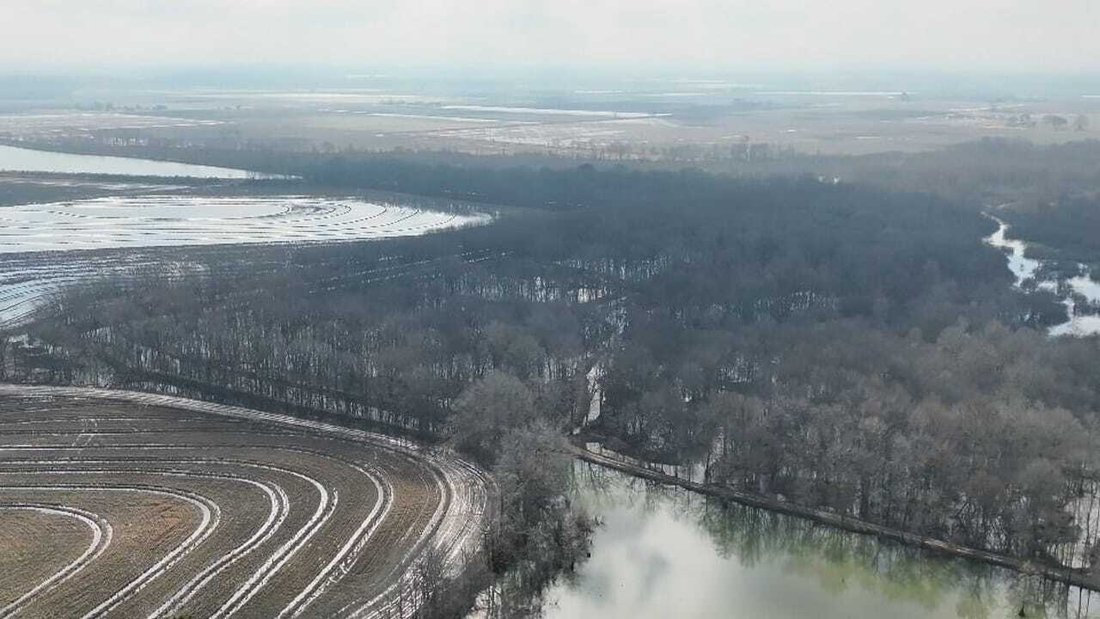 Land in Stuttgart, Arkansas, United States 4 - 17842836