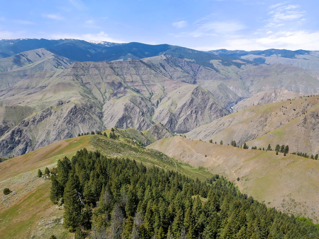 Land in Riggins, Idaho, United States 5 - 17842806
