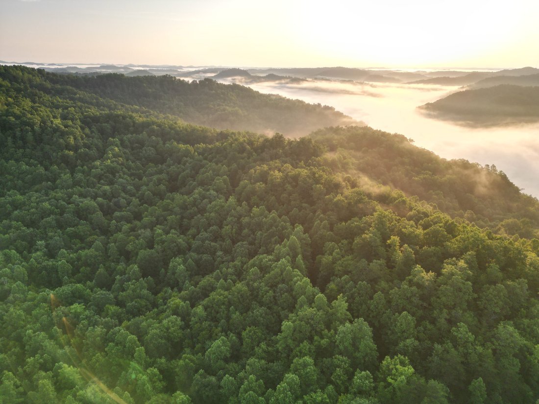 Terrain à Cornettsville, Kentucky, États-Unis 1 - 17842821