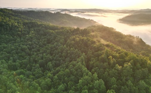 Terreno en Cornettsville, Kentucky, Estados Unidos 1