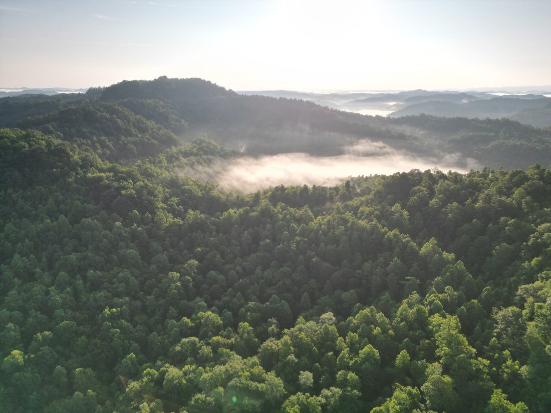 Terrain à Cornettsville, Kentucky, États-Unis 5 - 17842821