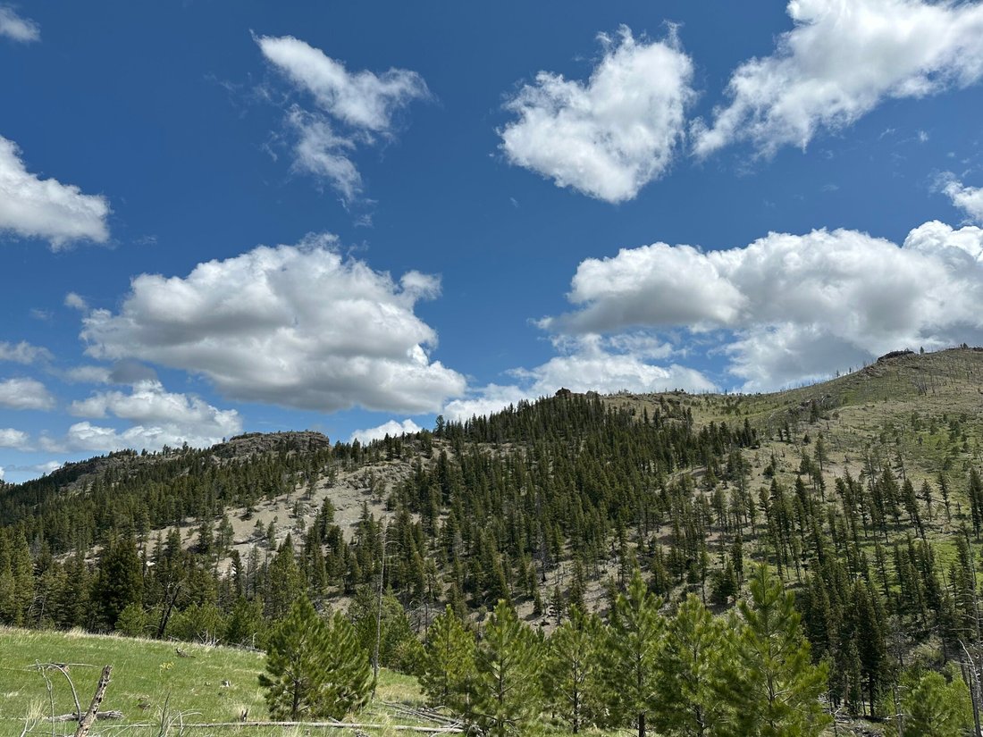 Land in Big Timber, Montana, United States 5 - 15905615