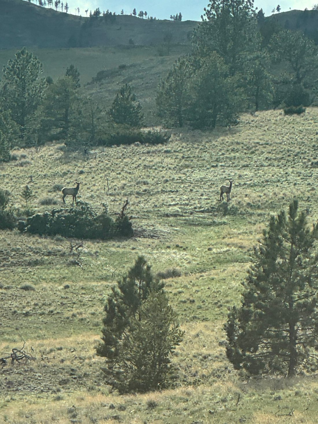 Land in Big Timber, Montana, United States 4 - 15905615