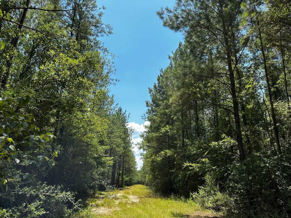 Land in Wiggins, Mississippi, United States 2 - 17842804