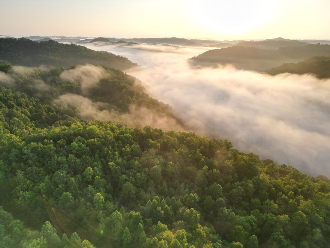 Terrain à Cornettsville, Kentucky, États-Unis 2 - 17842821