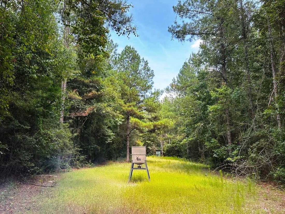 Land in Wiggins, Mississippi, United States 4 - 17842804