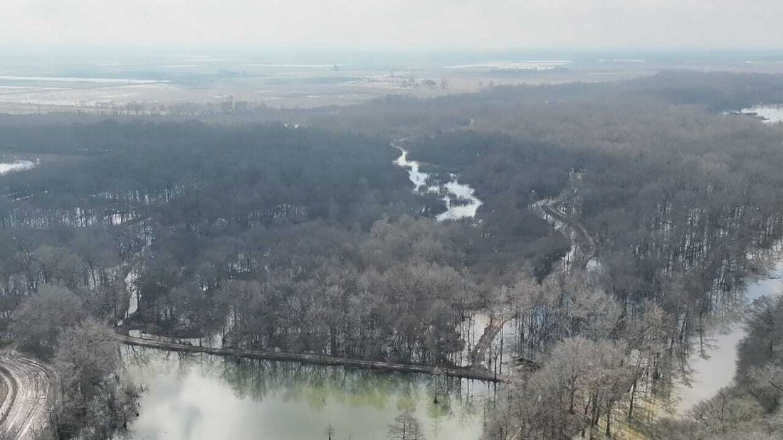Land in Stuttgart, Arkansas, United States 2 - 17842836