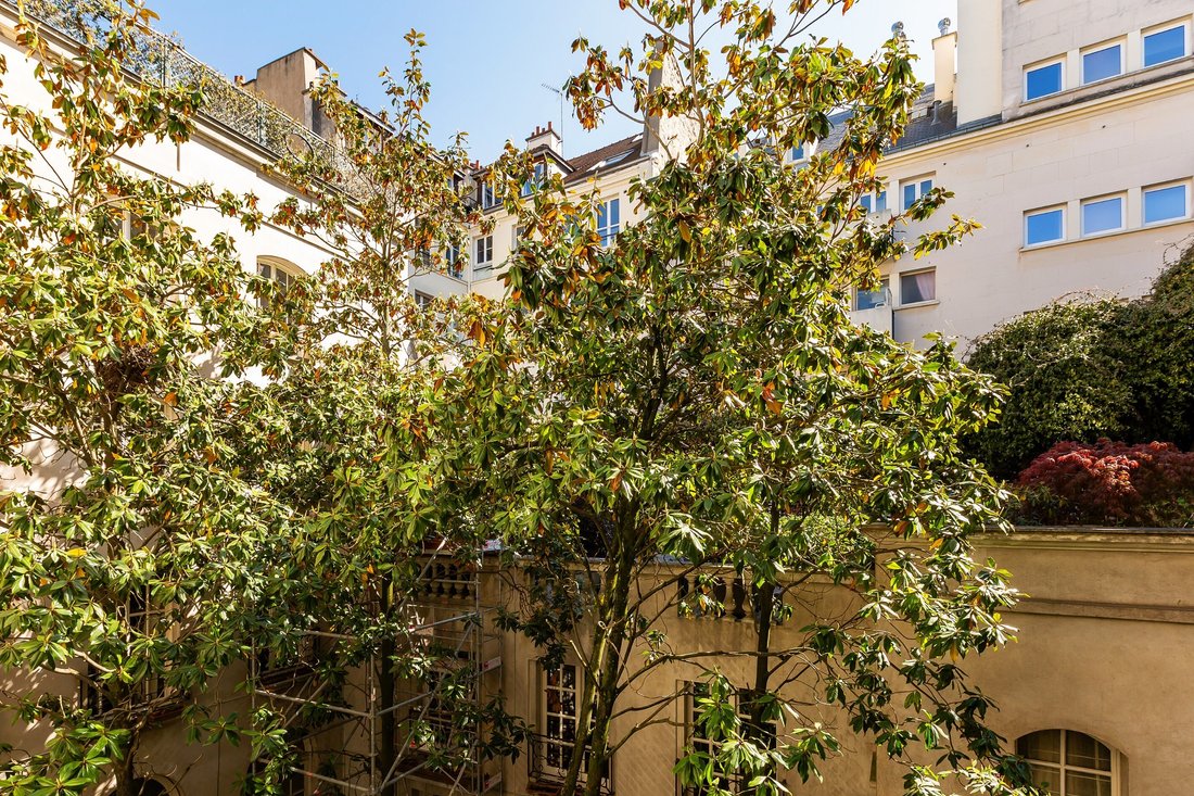 Apartment in Saint Germain des Prés, Paris 6e Arrondissement, Paris 3 - 17842873