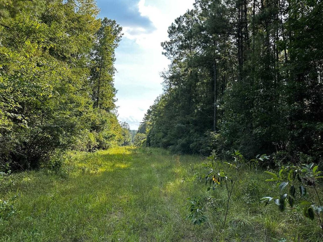Land in Wiggins, Mississippi, United States 1 - 17842804