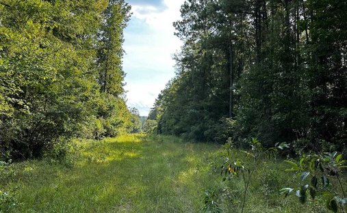 Land in Wiggins, Mississippi, United States 1