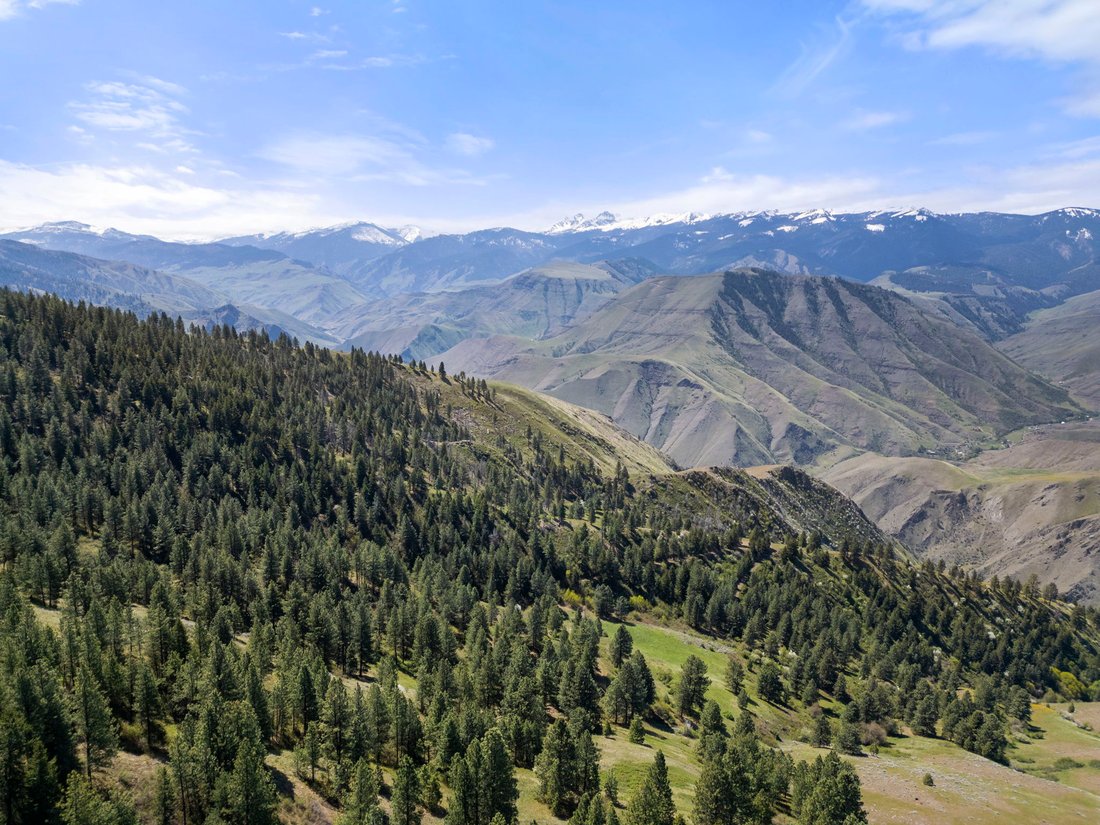 Land in Riggins, Idaho, United States 1 - 17842806