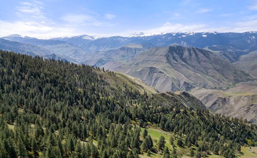 Terreno a Riggins, Idaho, Stati Uniti 1
