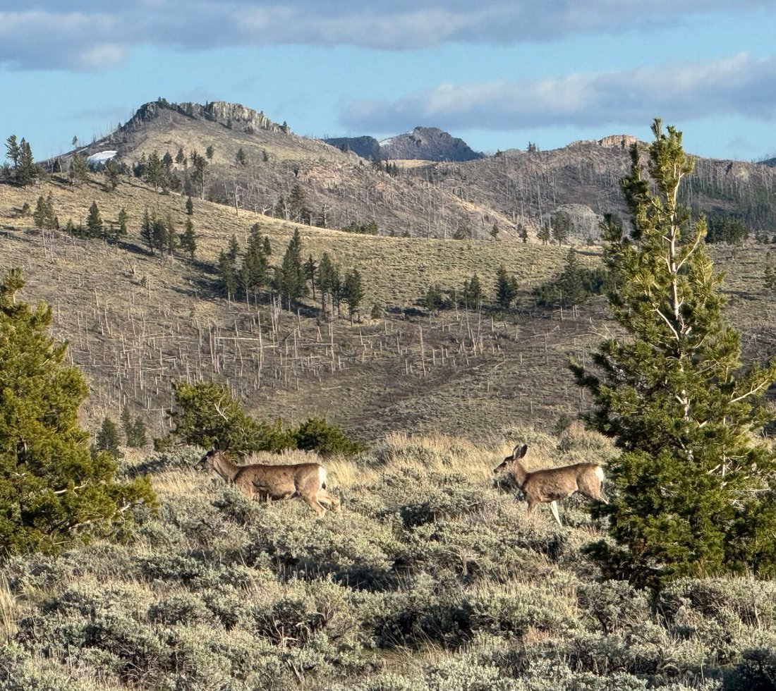 Land in Big Timber, Montana, United States 2 - 15905615