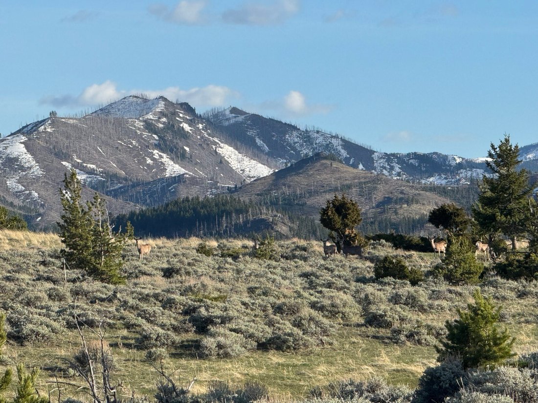 Land in Big Timber, Montana, United States 1 - 15905615