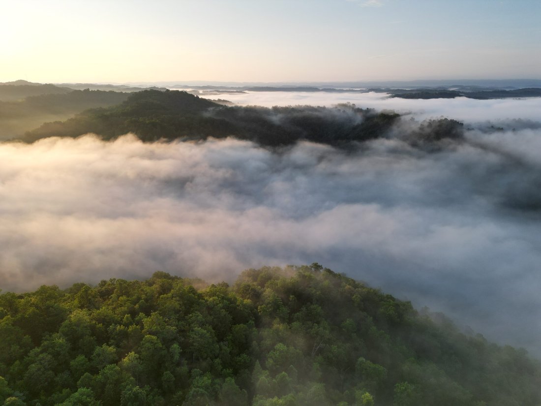 Terrain à Cornettsville, Kentucky, États-Unis 4 - 17842821