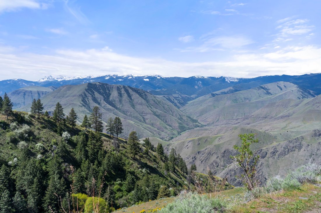 Land in Riggins, Idaho, United States 2 - 17842806