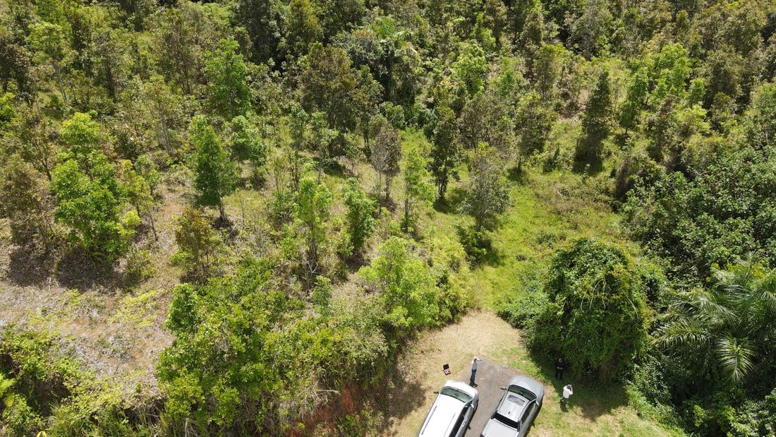 Land in Canovanas, PR, United States 4 - 17842809