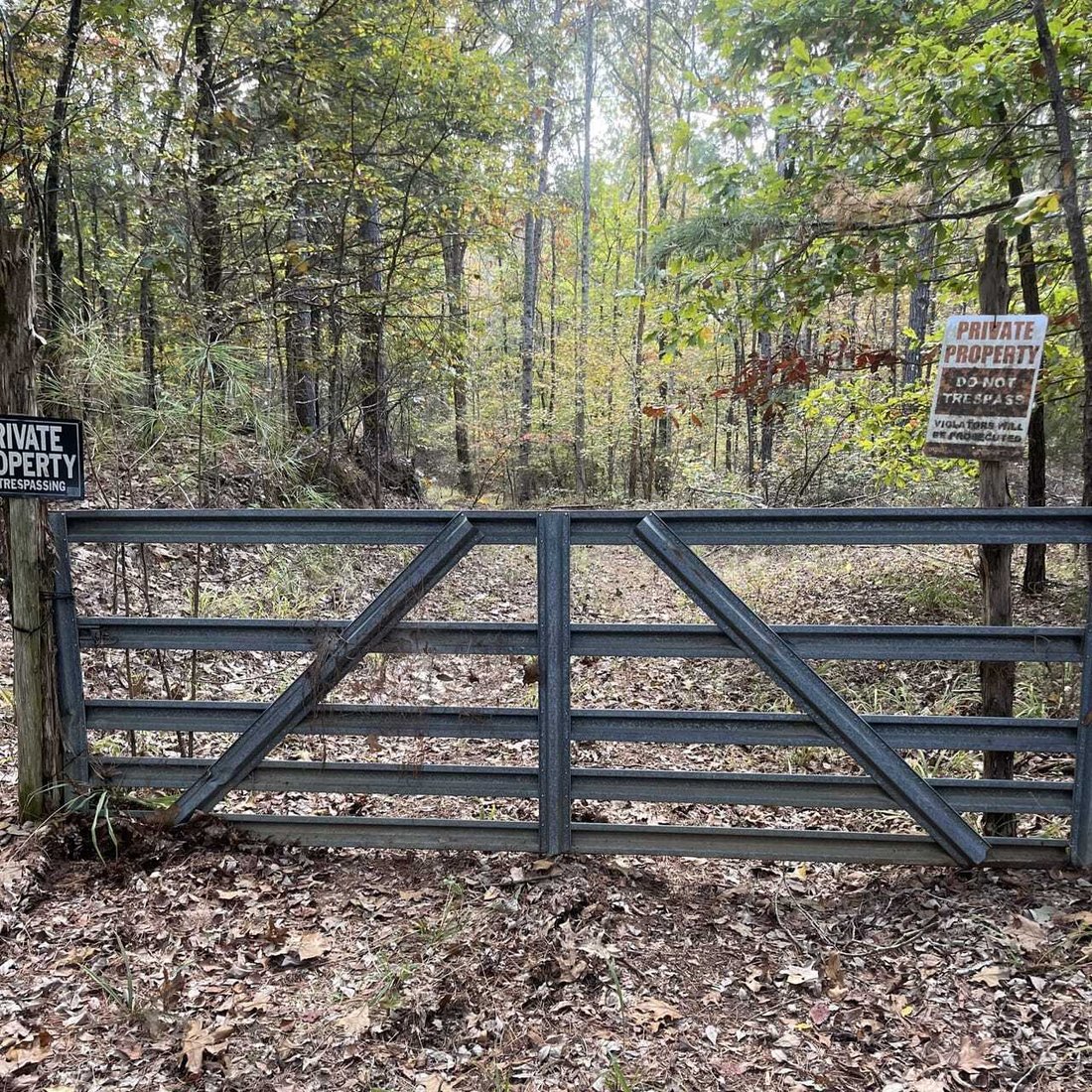 Land in McCarley, Mississippi, United States 2 - 17842838