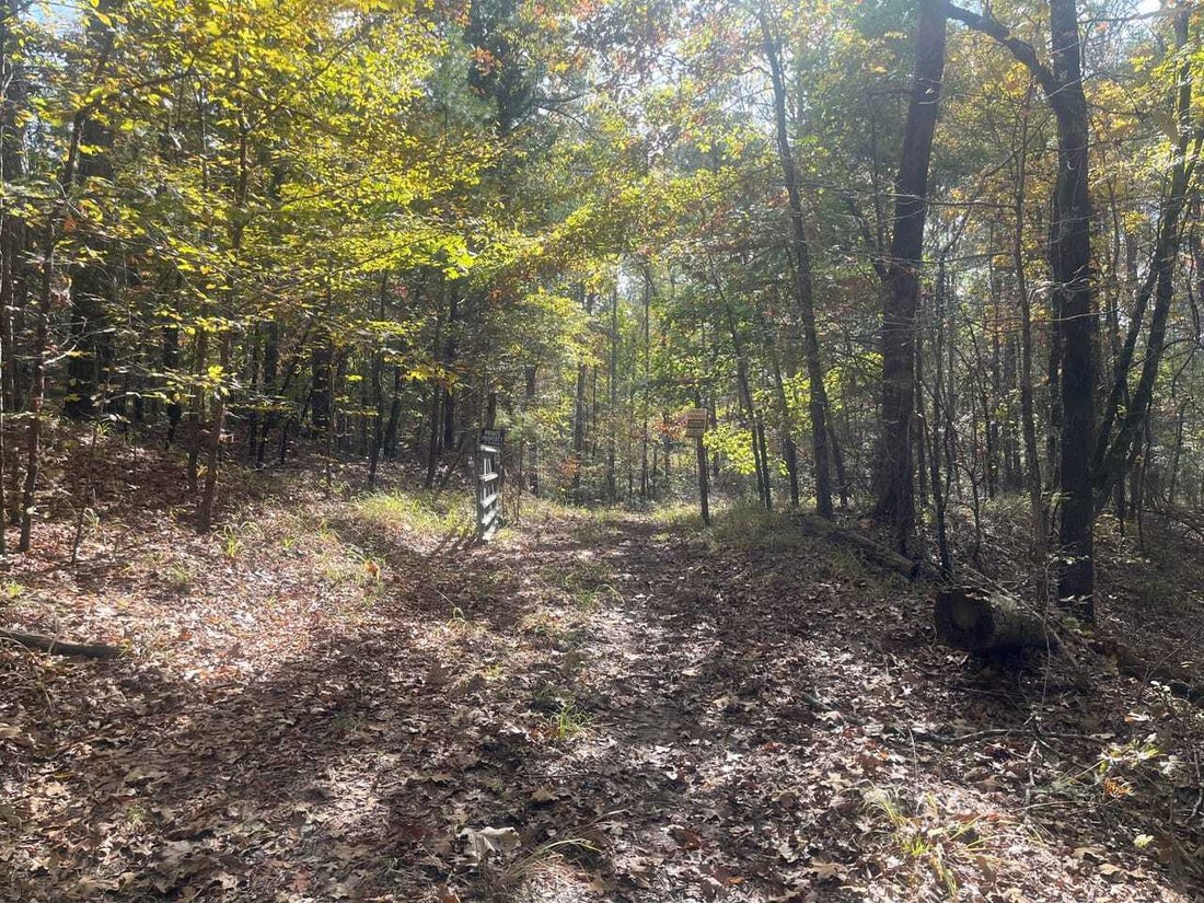 Land in McCarley, Mississippi, United States 3 - 17842838