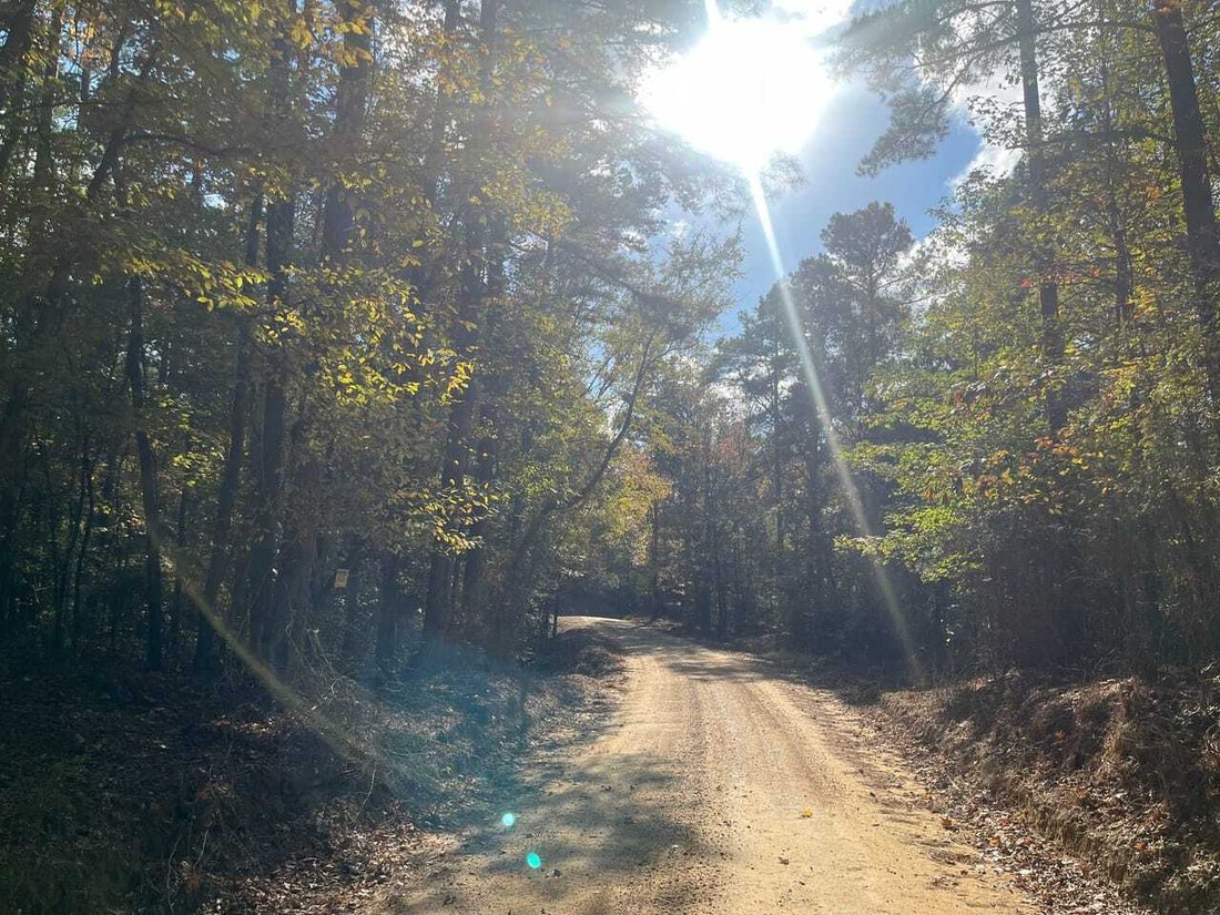 Land in McCarley, Mississippi, United States 1 - 17842838