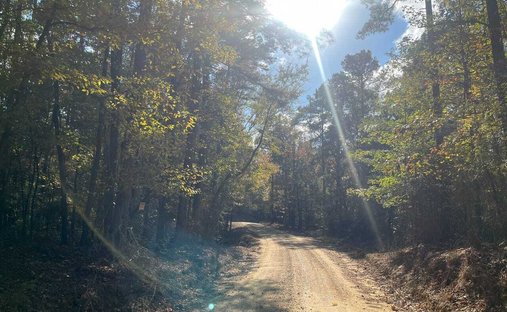 Land in McCarley, Mississippi, United States 1