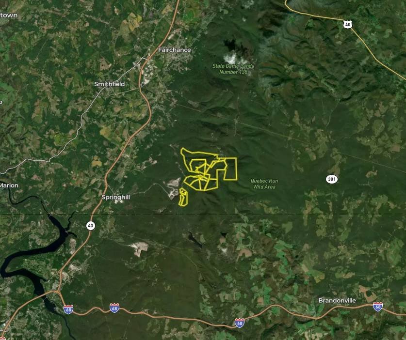 Land in Farmington, Pennsylvania, United States 5 - 17842765