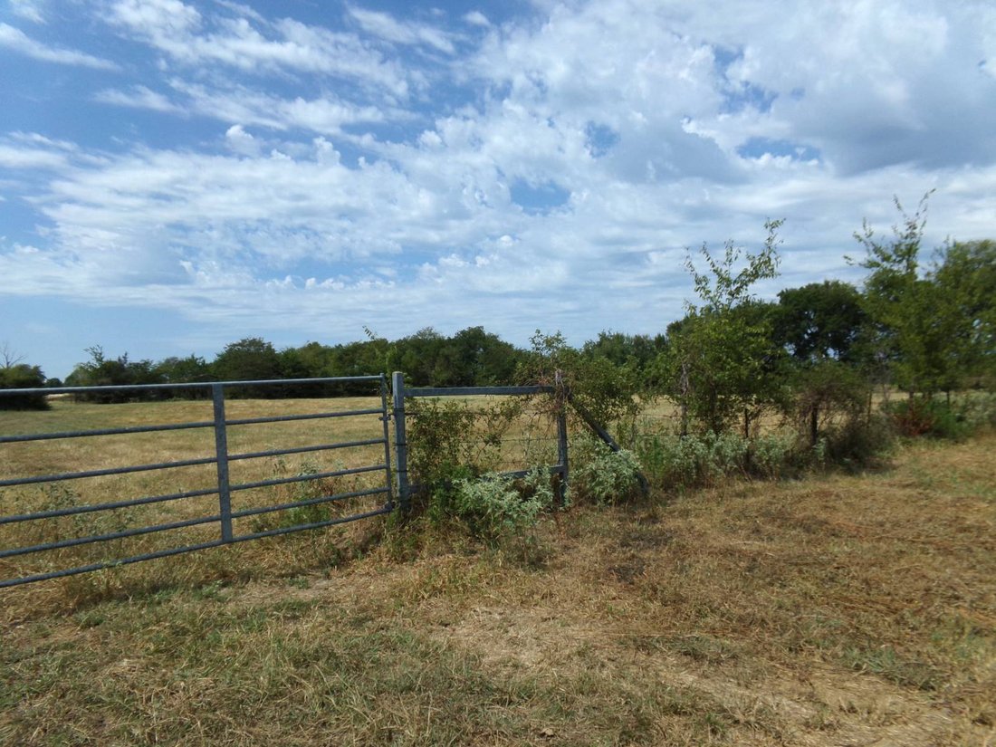 Land in Blossom, Texas, United States 5 - 17842787