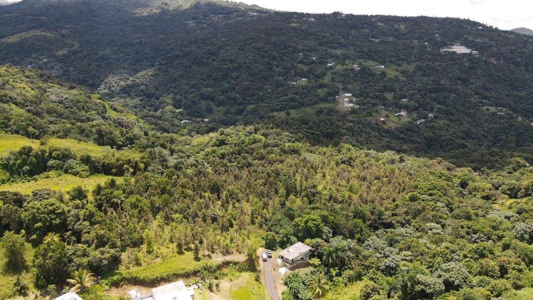 Land in Canovanas, PR, United States 2 - 17842809