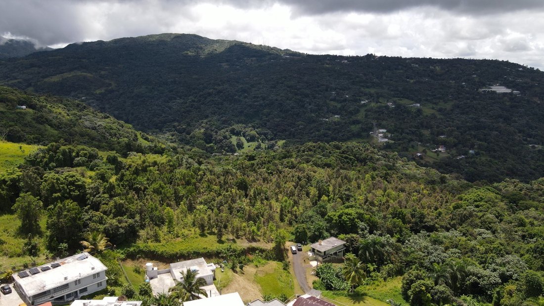 Land in Canovanas, PR, United States 3 - 17842809