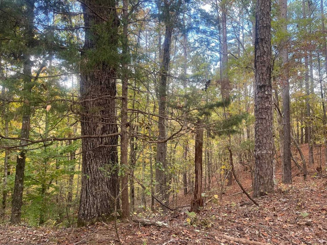 Land in McCarley, Mississippi, United States 5 - 17842838
