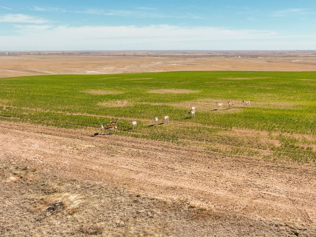 Land in Strasburg, Colorado, United States 2 - 17842820