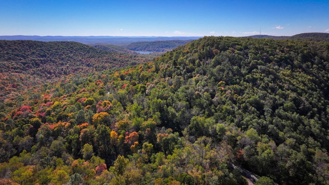 Land in Farmington, Pennsylvania, United States 1 - 17842765