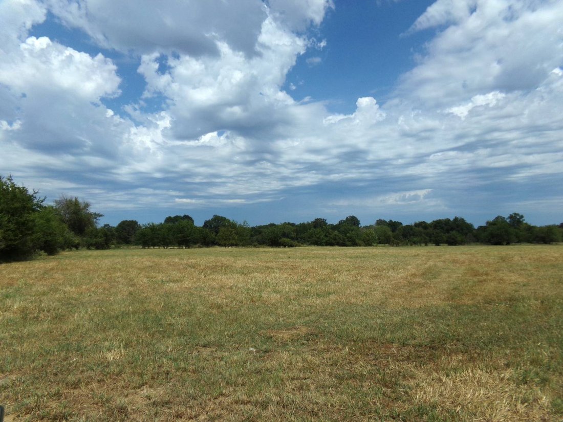 Land in Blossom, Texas, United States 3 - 17842787