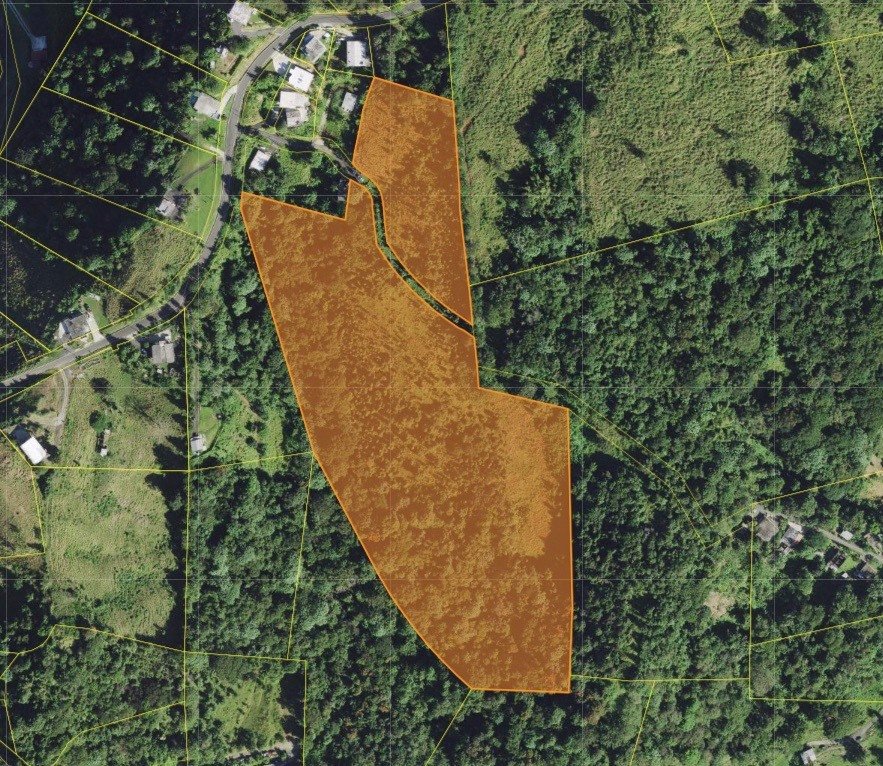 Land in Canovanas, PR, United States 1 - 17842809