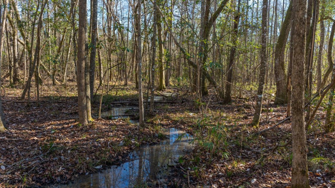 Land in Plains, Georgia, United States 4 - 17842831