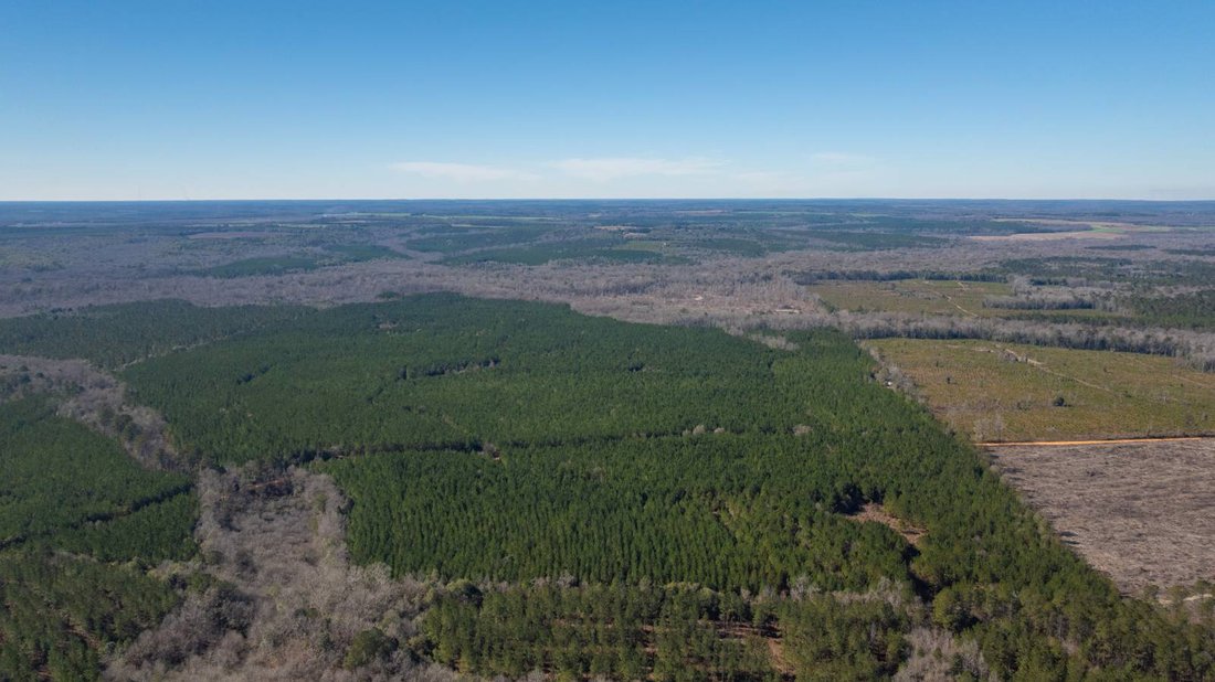 Land in Preston, Georgia, United States 3 - 17842780