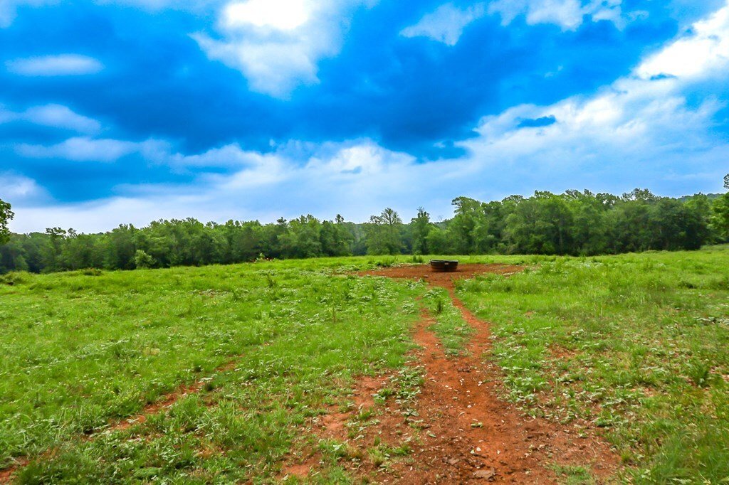 Land in Bronson, Texas, United States 5 - 17842550
