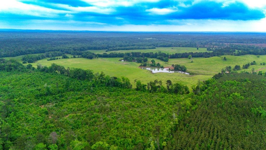 Land in Bronson, Texas, United States 1 - 17842550